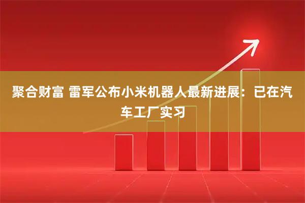 聚合财富 雷军公布小米机器人最新进展：已在汽车工厂实习