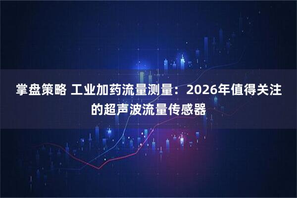 掌盘策略 工业加药流量测量：2026年值得关注的超声波流量传感器