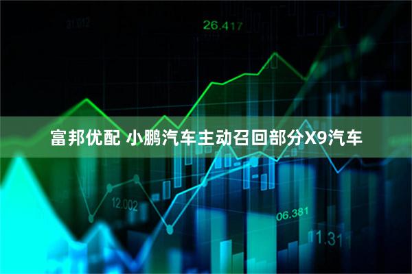 富邦优配 小鹏汽车主动召回部分X9汽车